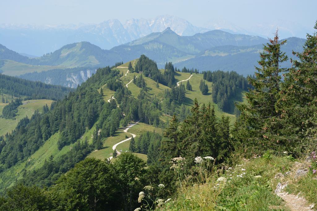Appart Weisse Urlauben Am Wolfgangsee Sankt Gilgen Ngoại thất bức ảnh